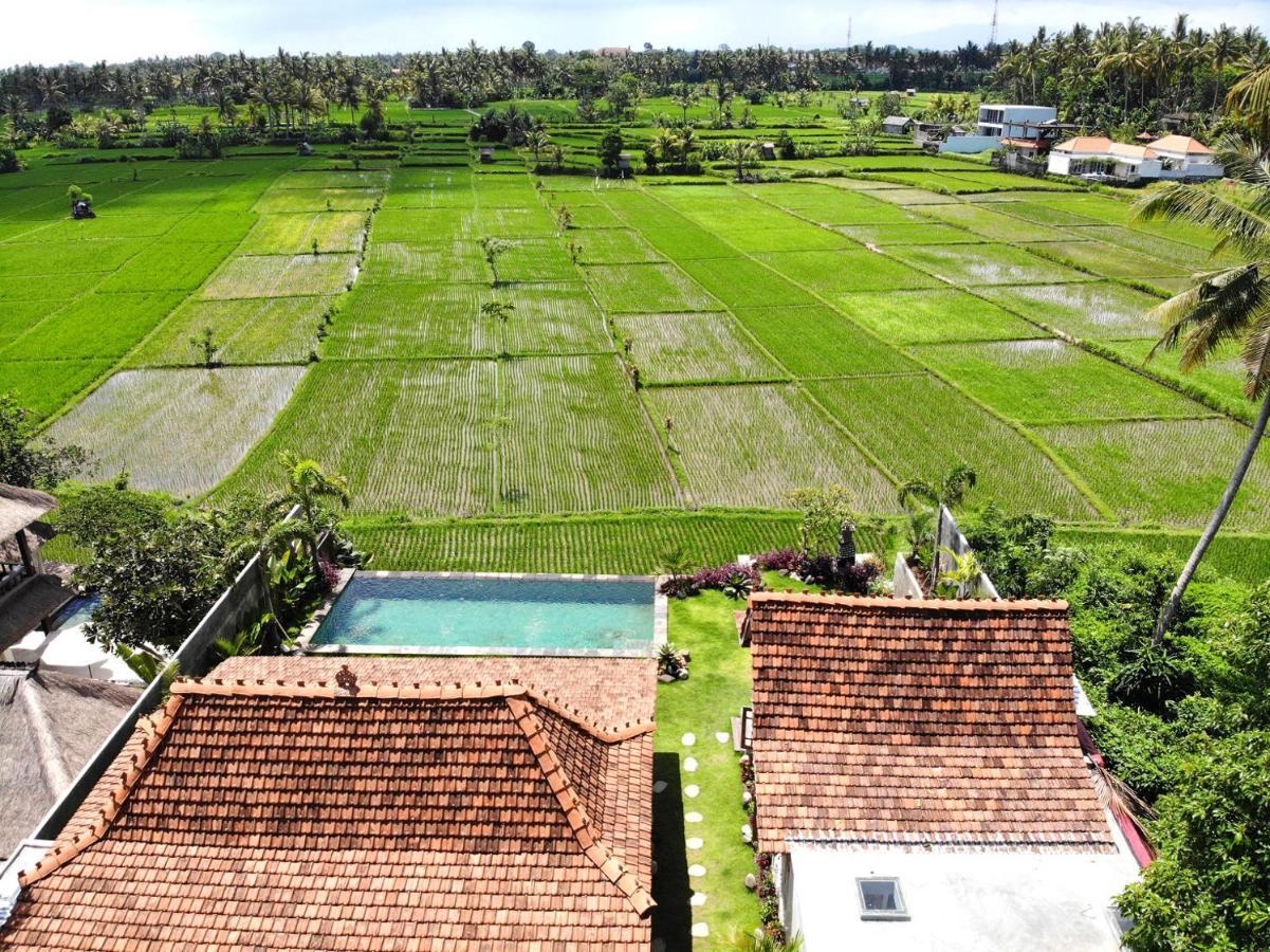 Villa O'Hea Ubud Zewnętrze zdjęcie