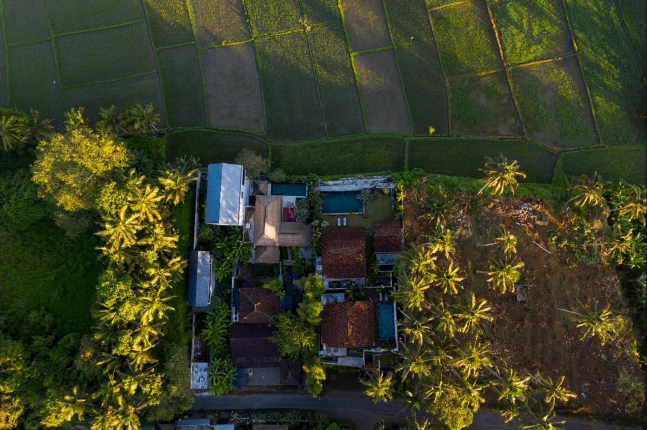 Villa O'Hea Ubud Zewnętrze zdjęcie